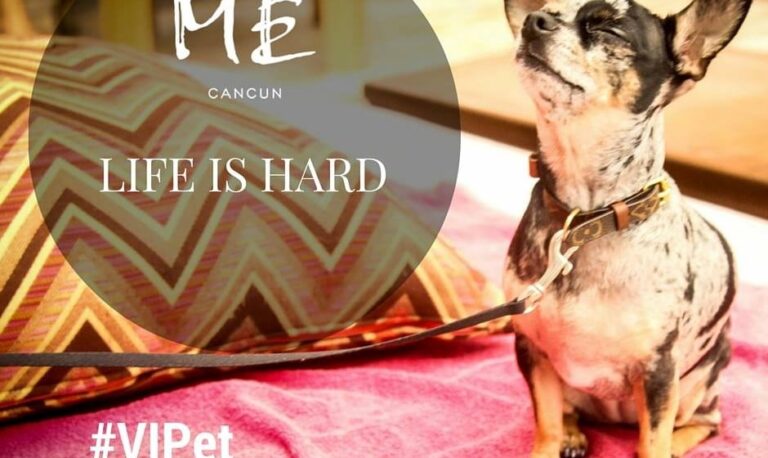 ME Cancún