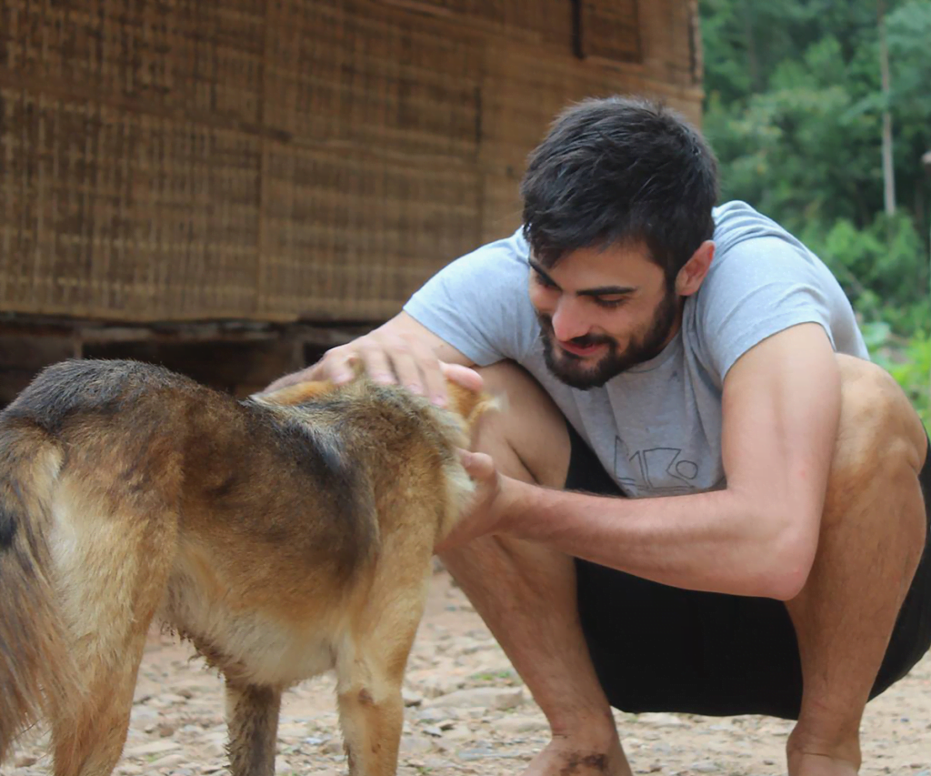 cerebro de los perros no nos reconoce