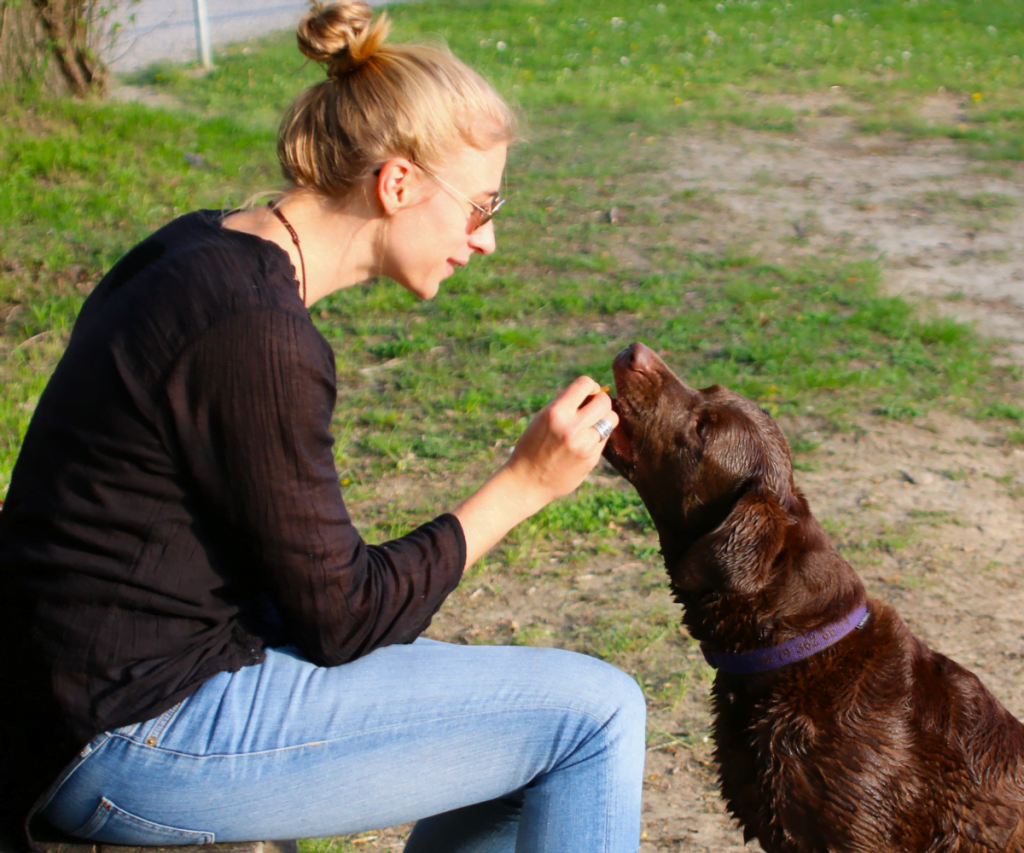 Hablarle como bebé a los perros es una opción