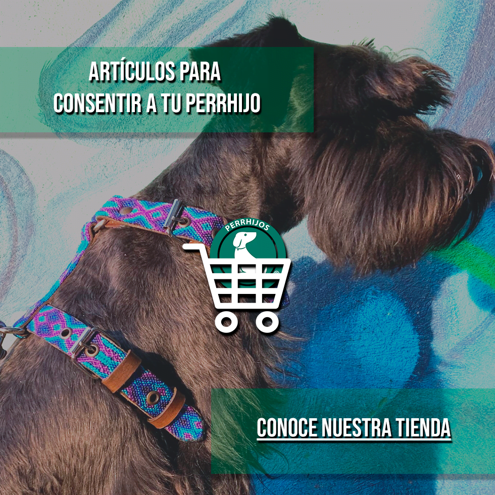 Nueva Tienda en línea