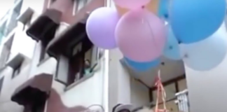 Detienen-a-youtuber-por-hacer-volar-a-su-perro-con-globos-de-helio