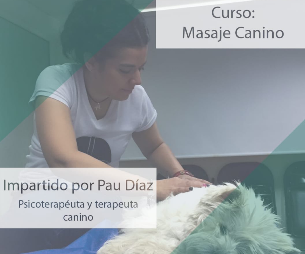 Por-qué-es-bueno-dar-un-masaje-relajante-a-tu-perro
