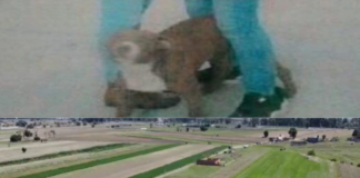 perro-pitbull-cae-en-el-socavón-de-puebla