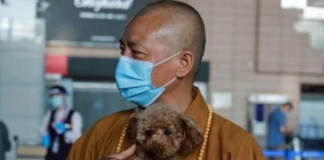 Zhi-Xiang-monje-budista-que-salva-a-perros-callejeros