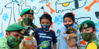 Los-perritos-de-Santa-Lucía-Albergue-creado-por-el-ejército