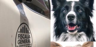 Detuvieron-al-asesino-de-Athos-y-Tango