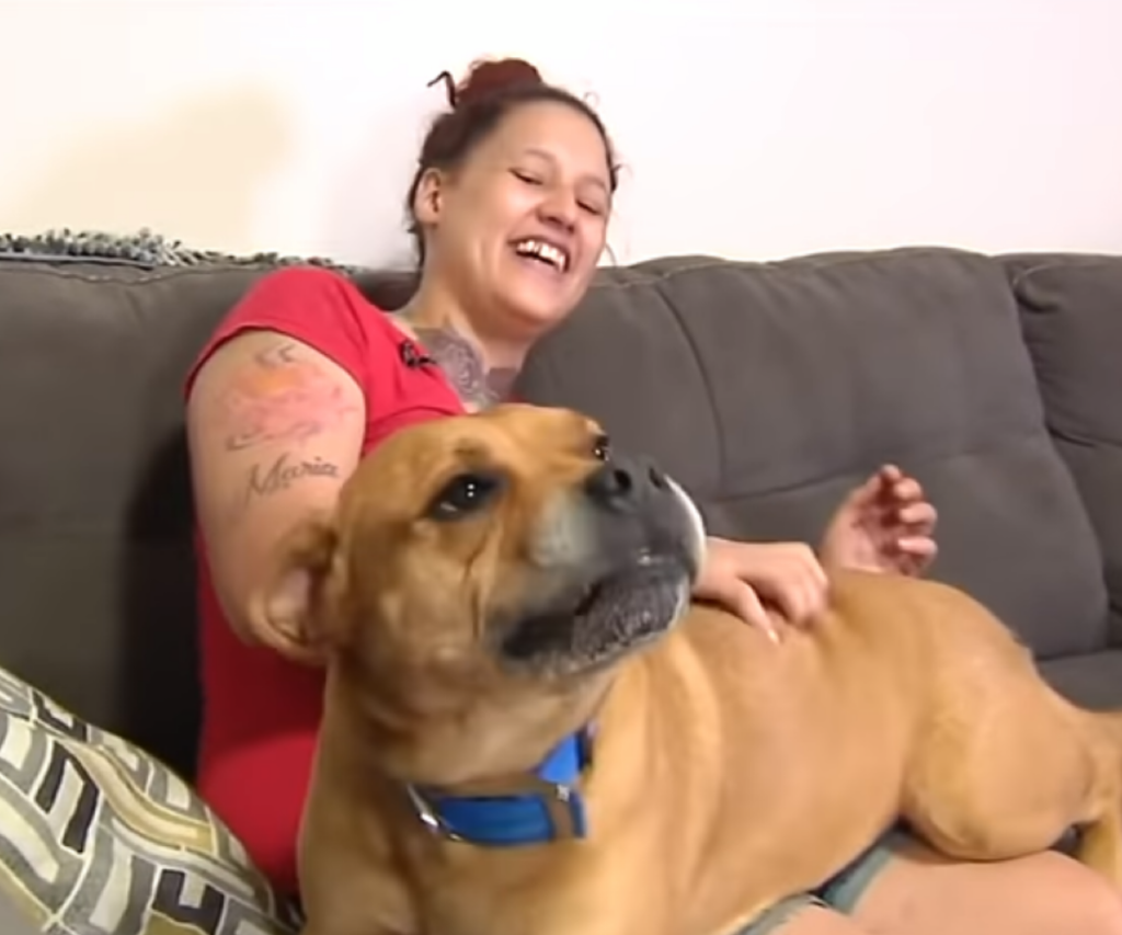 Encontró-a-su-perrito-en-un-refugio-dos-años-después-de-haberlo-perdido