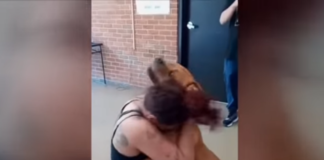 Encontró-a-su-perrito-en-un-refugio-dos-años-después-de-haberlo-perdido