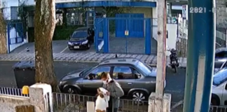 Un-hombre-le-roba-a-una-perrita-su-playera