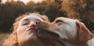 despedirte-de-un-perrito-que-no-es-tuyo-tambien-es-dificil