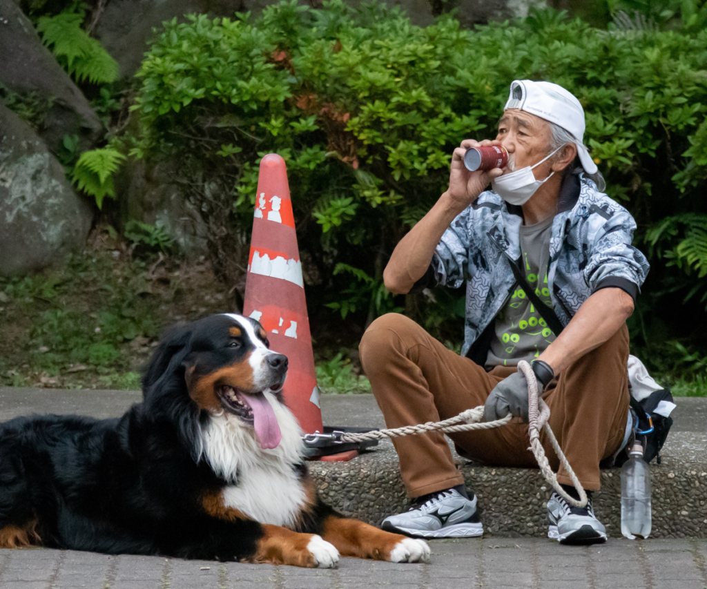 como-es-tener-perros-en-japon