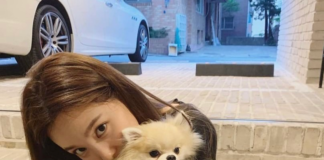 k-pop-conoce-a-los-perritos-de-twice