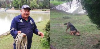 don-venancio-salva-a-perrito-de-ahogarse