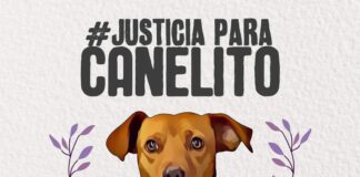justicia_para_canelito