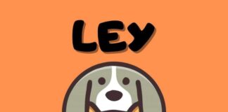 ley-silver-aprobada