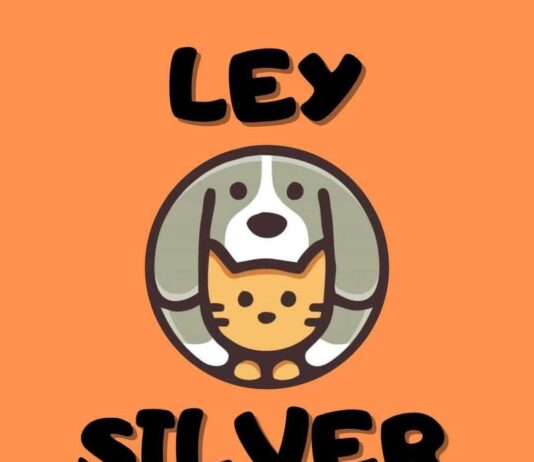 ley-silver-aprobada