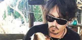 johnny-depp-mate-a-mis-perros-y-me-los-comi
