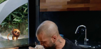 dani-alves-gran-futbolista-y-amante-de-los-perrhijos