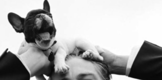 leonardo-dicaprio-defensor-de-los-animales