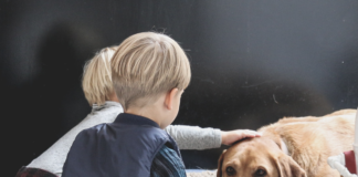 regreso-a-clases-beneficios-de-tener-perros-en-las-aulas