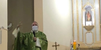 sacerdote-brasileño-ayuda-a-muchos-peluditos-a-conseguir-un-hogar