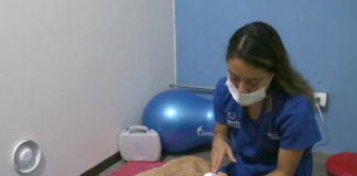 hospital-veterinario-de-especialidades-en-tamaulipas