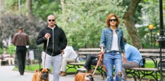 perros-de-jennifer-lópez