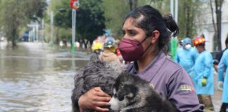 inundaciones-en-tula