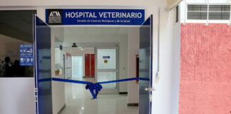 Hospital-veterinario