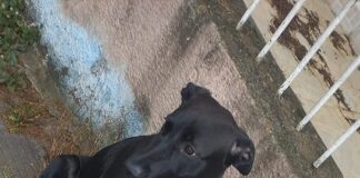 Abandonada