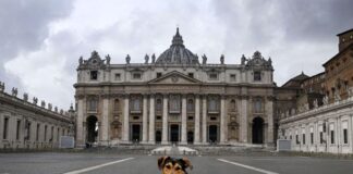 Papa Francisco
