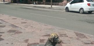 queretaro