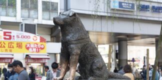 Hachiko