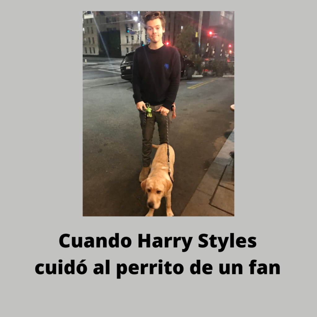 Harry Styles