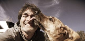 porque mi perro me lame la cara