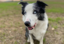 Foto: Instagram / @lauramartin_contini)