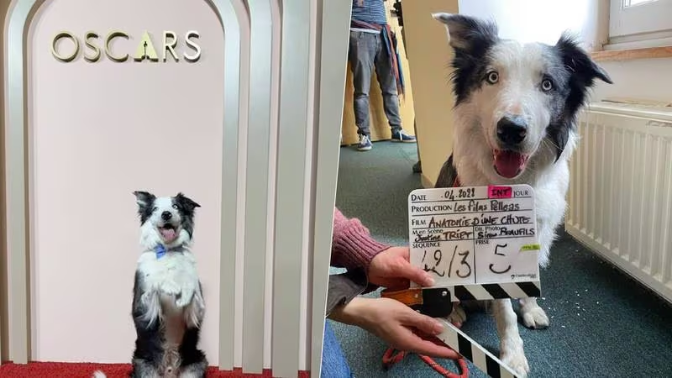 (Foto: X / @neonrated / Instagram / lauramartin_contini